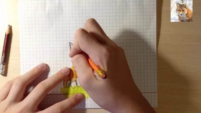 Рисуем лисенка Арчи