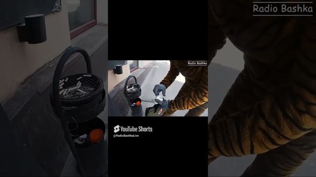 РадиоБашка Тусовки Дискотеки _ Бич БАР #Shorts