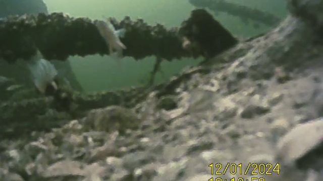 1000034137.mp4Волга гл.4м.01.12.2024г.