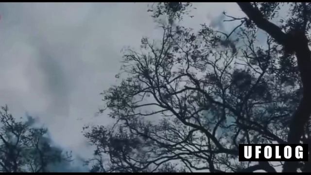Неопознанный летающий объект, снятый у подножья горы Блэкберн, Аляска