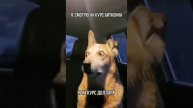 Я смотрю на курс биткоина и на курс доллара