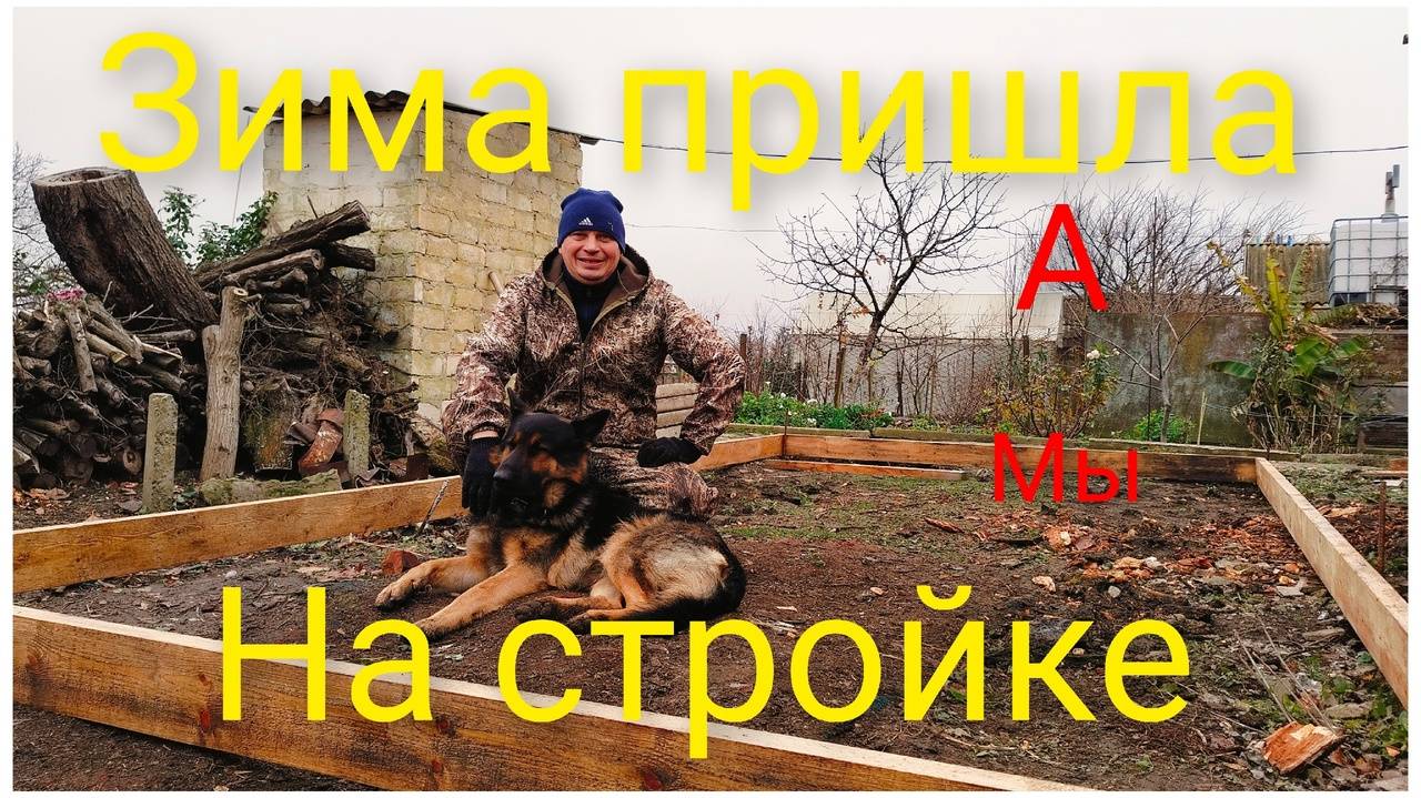 Зима однако!Издержки блогерской деятельности/Птичка истеричка.