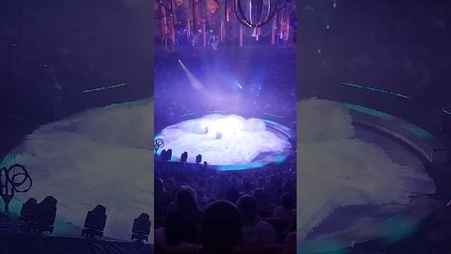 Цирк 5 континентов Ставрополь 3 ноября