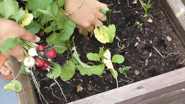 9429136-hd_1920_1080_25fps