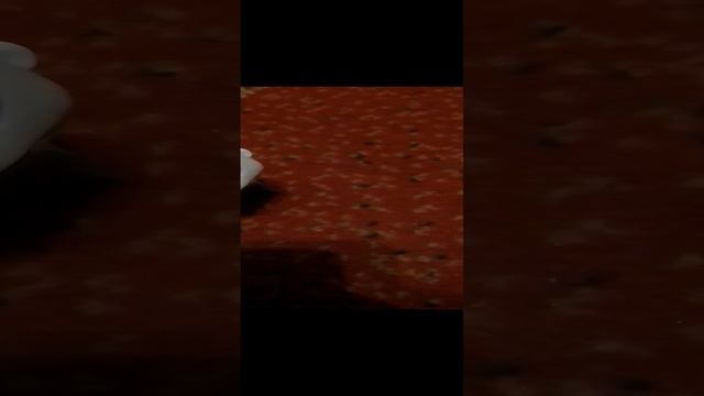 я в это хочу видеть