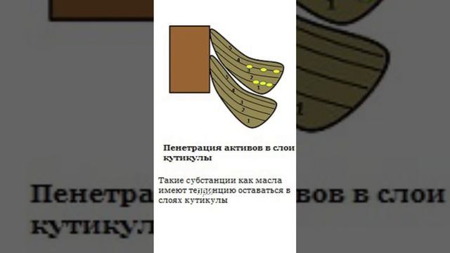 Поняла это спустя 5 лет страданий 🥲☠️