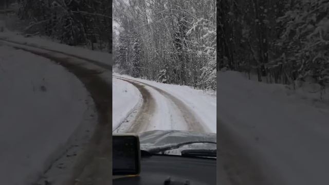 #jimny в корректной среде обитания. #forestlifeandtravel #offroad #overland #snow #ジムニー #winter