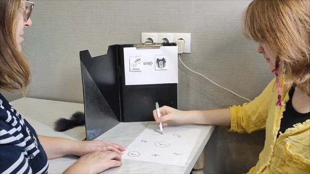 VID_20241201_125359_551.mp4