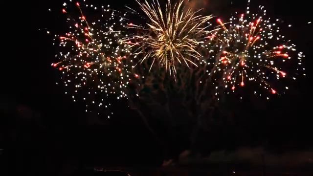 FFW2032-150 В ЯБЛОЧКО разнокалиберная 308 выстрелов