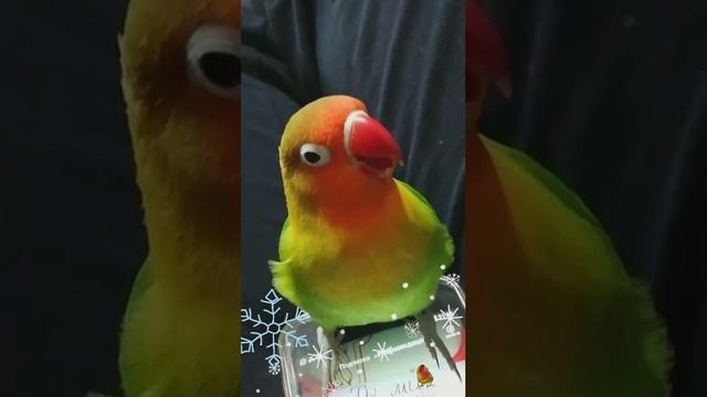 Snapchat-1027467991.mp4