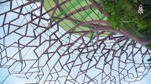 Visit Singapore's Stunning Grove of Man-Made Trees