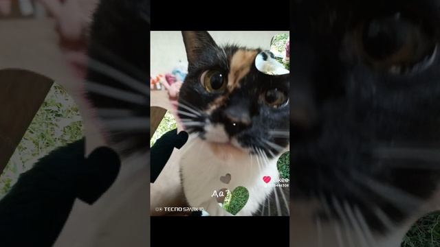 1000011068.mp4