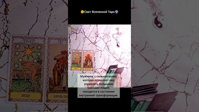 короткое_предсказание.mp4