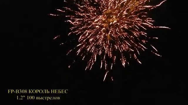 FP B308 Король небес 1,2" 100-выстрелов