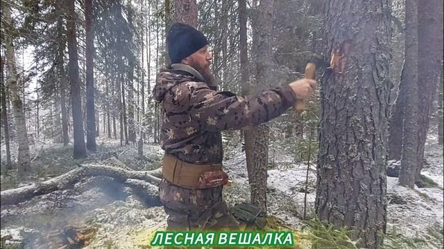 Лесная вешалка.