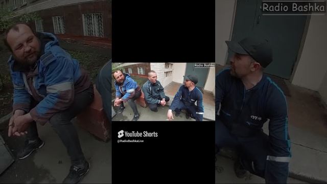 РадиоБашка КОШКА ПАД _ Спас ЖИВОТНОЕ #Shorts