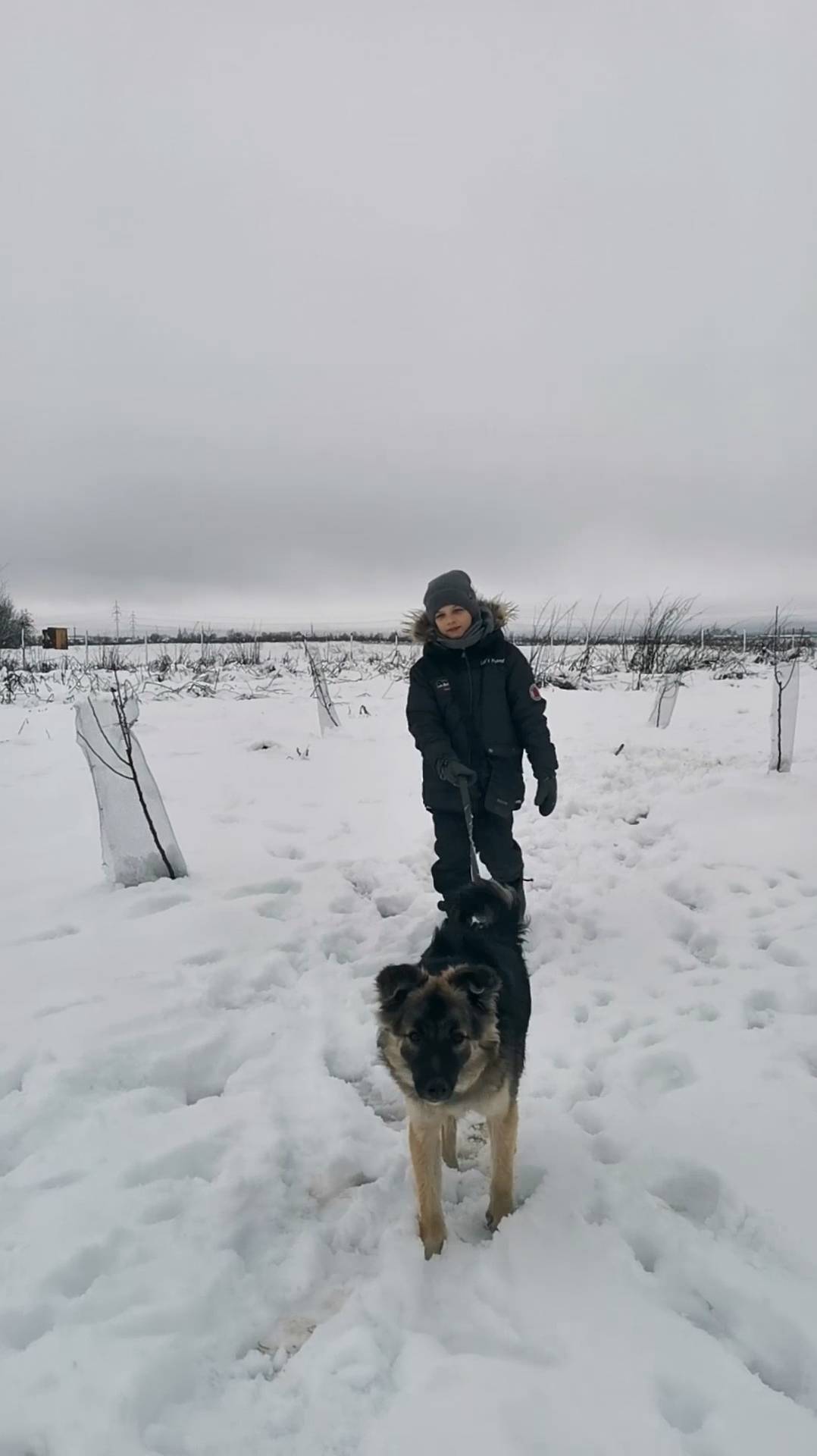 ЗИМНЯЯ ПРОБЕЖКА