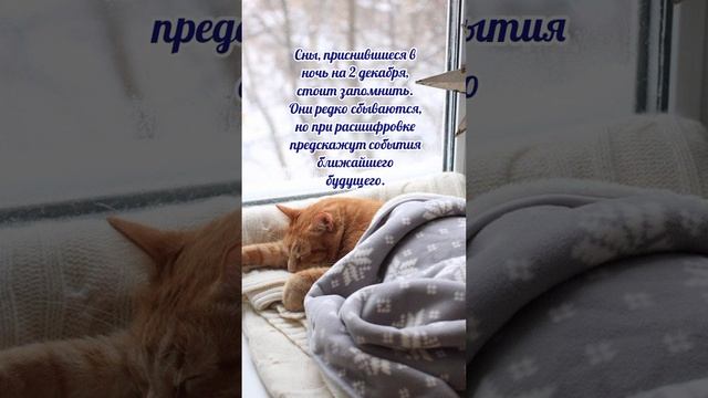 2 декабря# Авдей радетель# приметы и обычаи