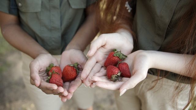 5028345-uhd_4096_2160_30fps