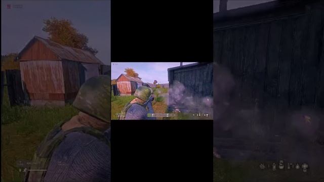 когда решил пожарить мясо в Dayz