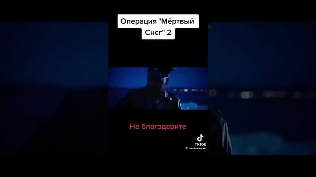 YouCut_20241201_163842945.mp4