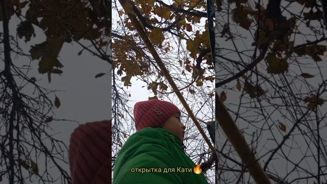 1 ДЕКАБРЯ 🌺