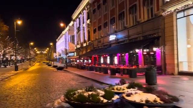 Осло, Норвегия, морозная пешеходная экскурсия