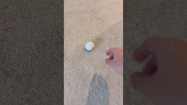 чё за хищник #зубарев #шутки #смех #шутки