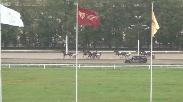 Московский ипподром. Бега. 01.09.13. Заезд 11(426). ПРИЗ ИМЕНИ ЗЛЫНСКОГО КОННОГО ЗАВОДА