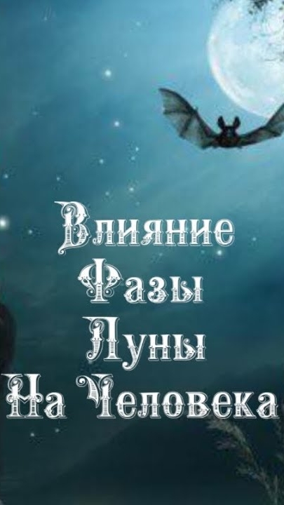 Влияние Фазы Луны на человека 1️⃣ декабря 2️⃣0️⃣2️⃣4️⃣ 🌒🌓🌔🌕🌖🌗🌘🌙🌛🌜🌝