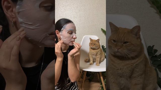 Симба: это что вообще за подстава 😒