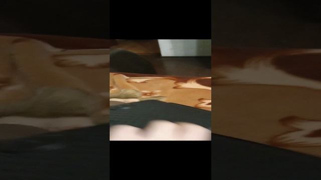 Ты меня уже достал🤣🤣🤣🤣