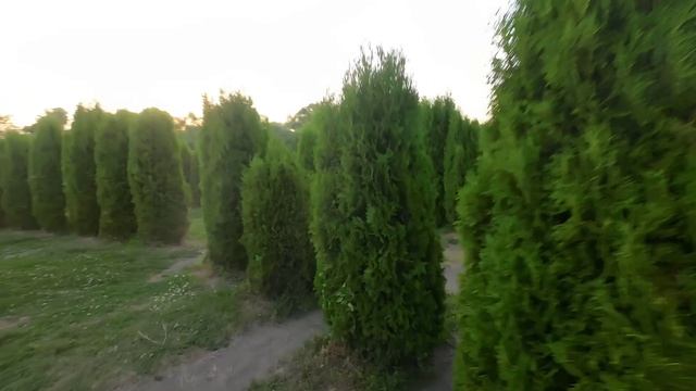 1000101807.mp4