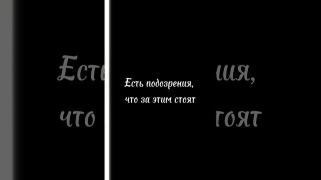 Спасите Зенице - аннотация