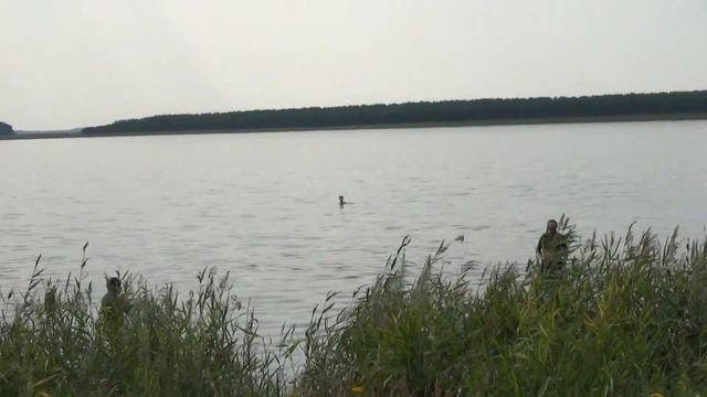 Озеро соленое 21.07.2020г