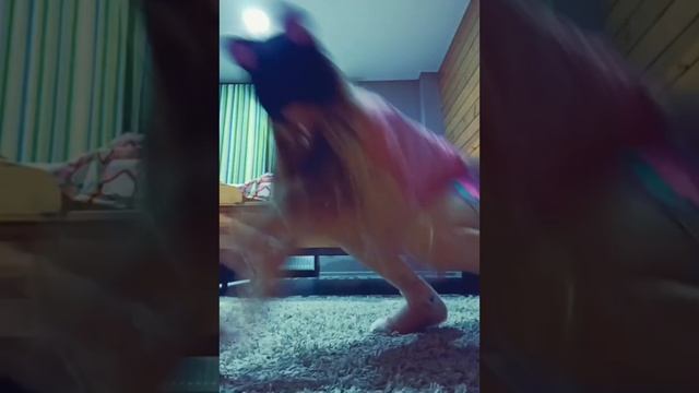 ребят с квадробикой я не кончаю