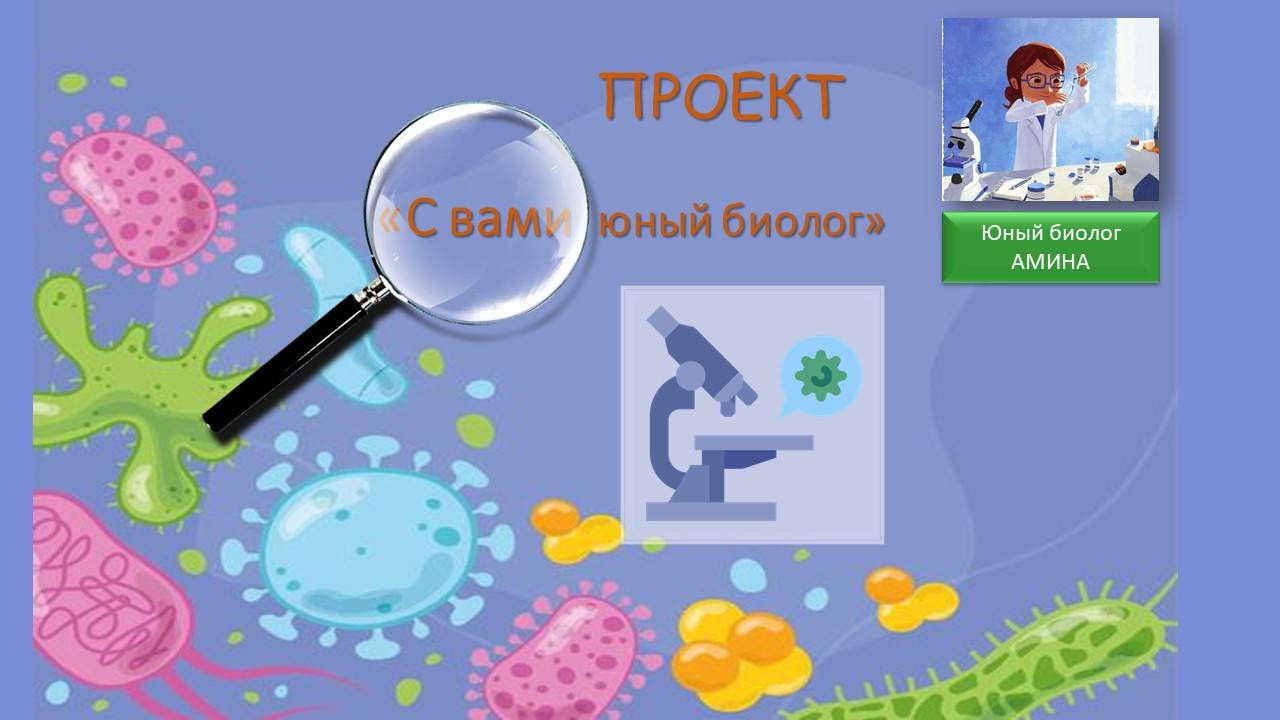 Лабораторные оборудования в кабинете биологии