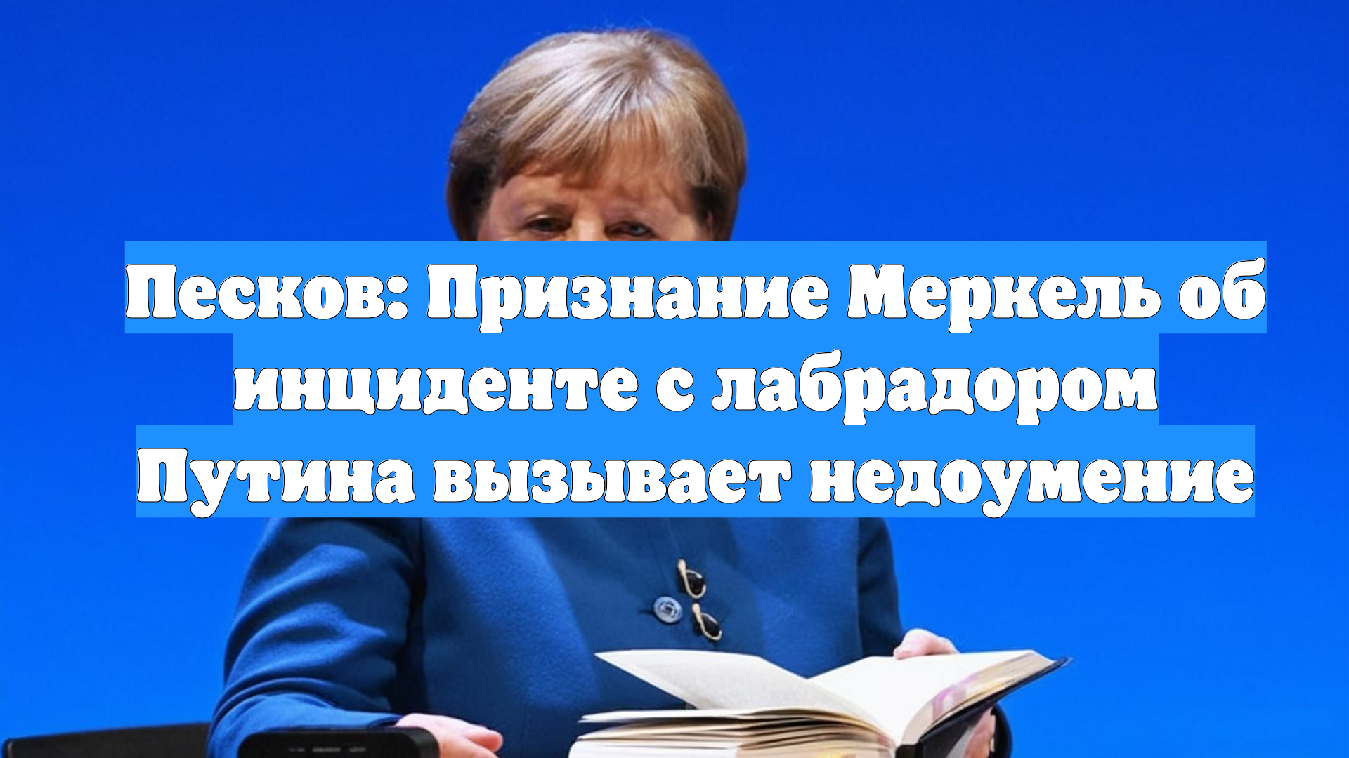 Песков: Признание Меркель об инциденте с лабрадором Путина вызывает недоумение