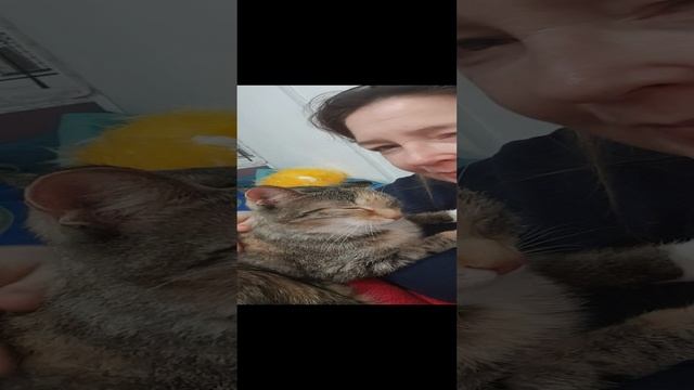 20241126_185707.mp4