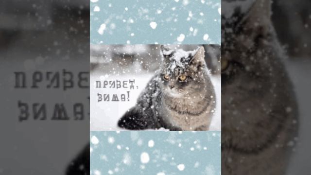 привет зима