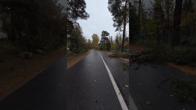 Отголоски шторма Милтон в России