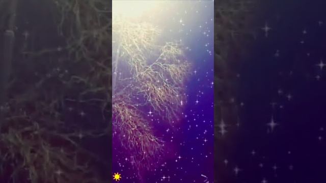 В Саратове бывает очень атмосферно вечерами 🎶🤗✨Апрель 2024 год