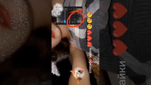 вы мои зайки💓🎀🎄