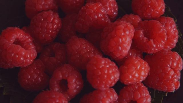 7660931-hd_1920_1080_25fps