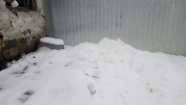 Зимнее видео наконец-то вышло! Всех поздравляю с первым декабря🩵🎅**