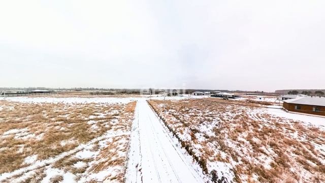 3954452