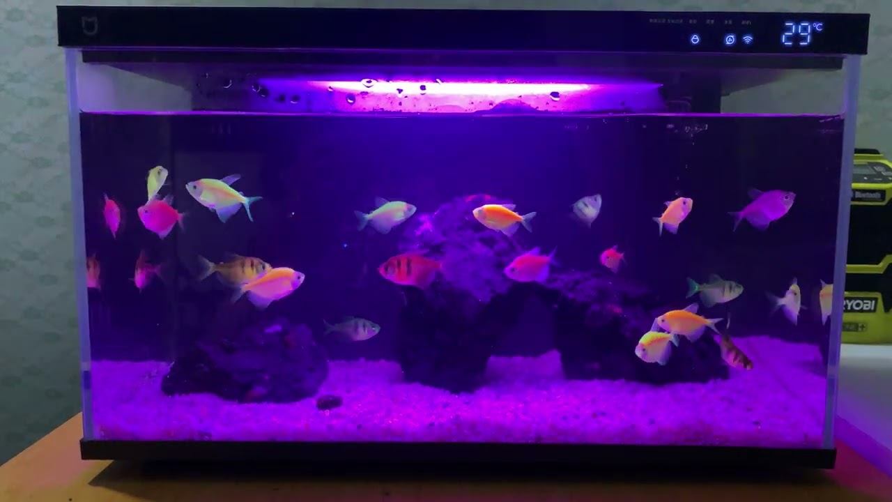Xiaomi Mijia Smart Fish Tank MYG100 20L