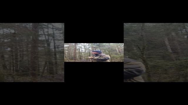 рябчик