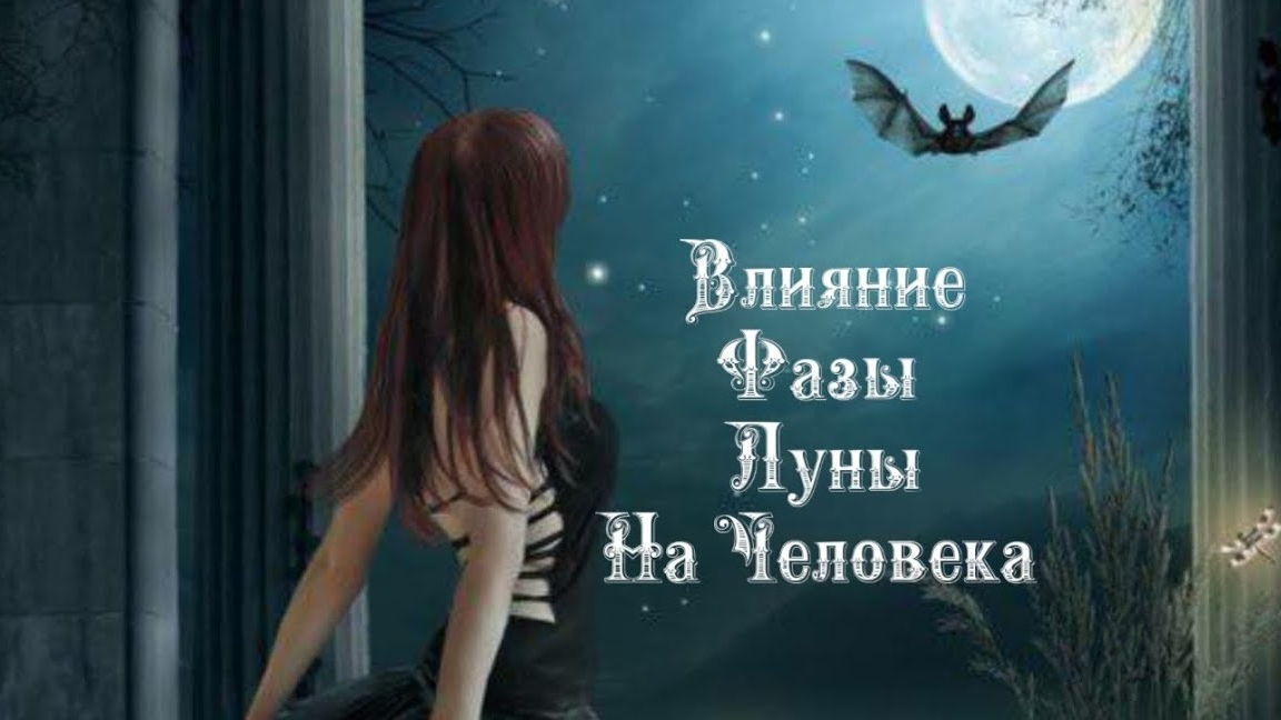 Влияние Фазы Луны на человека 1️⃣ декабря 2️⃣0️⃣2️⃣4️⃣ 🌒🌓🌔🌕🌖🌗🌘🌙🌛🌜🌝