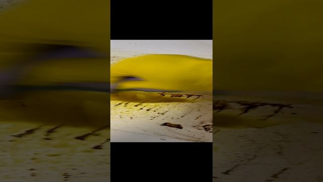IMG_2415